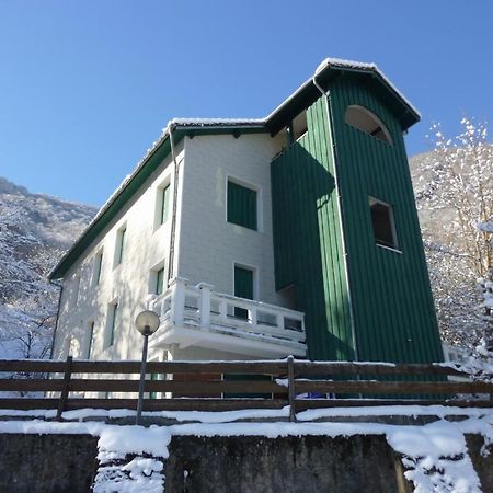Appartements Les Pins Cierp Dış mekan fotoğraf